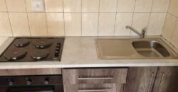 48 Lys Street Rietfontein