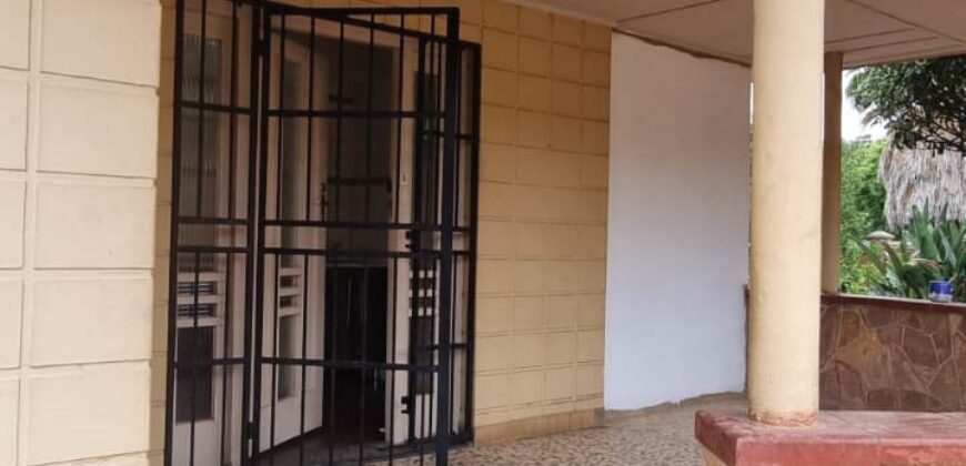 48 Lys Street Rietfontein